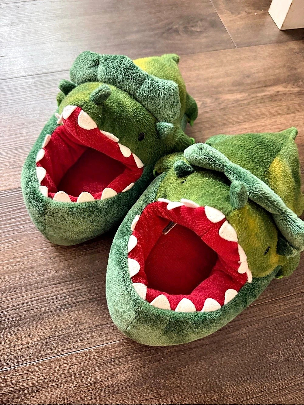 Dinosaur Slippers Green (13/1)